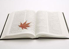 捷克荣耀，历史性的胜利：力克摩尔多瓦，剑指决赛！