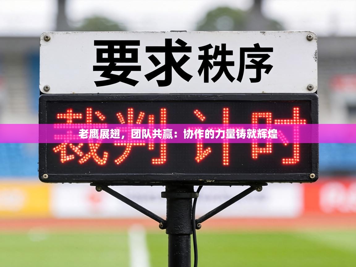 老鹰展翅，团队共赢：协作的力量铸就辉煌  第2张